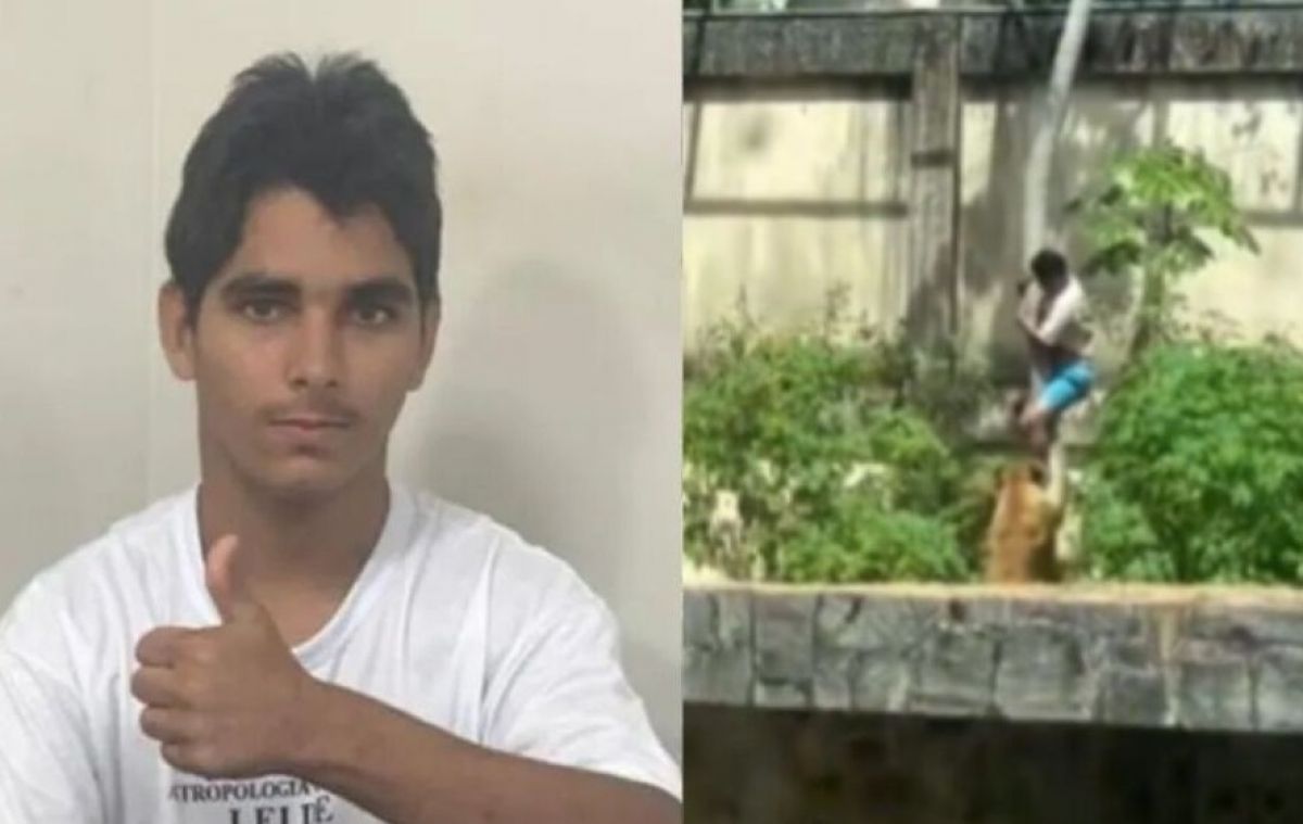 Jovem morto por leoa em zoológico tinha diagnóstico de esquizofrenia